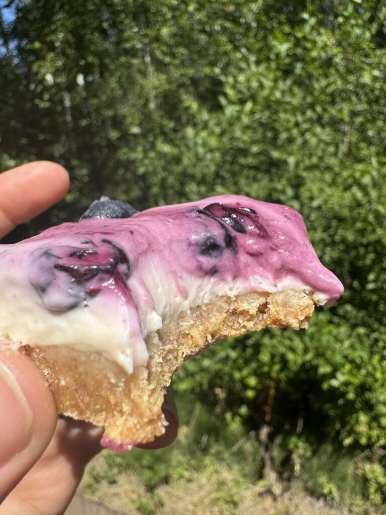 Image of a hand holding a No-Bake Blueberry Cheese Cake Bar. The bar has a bite taken out of it.