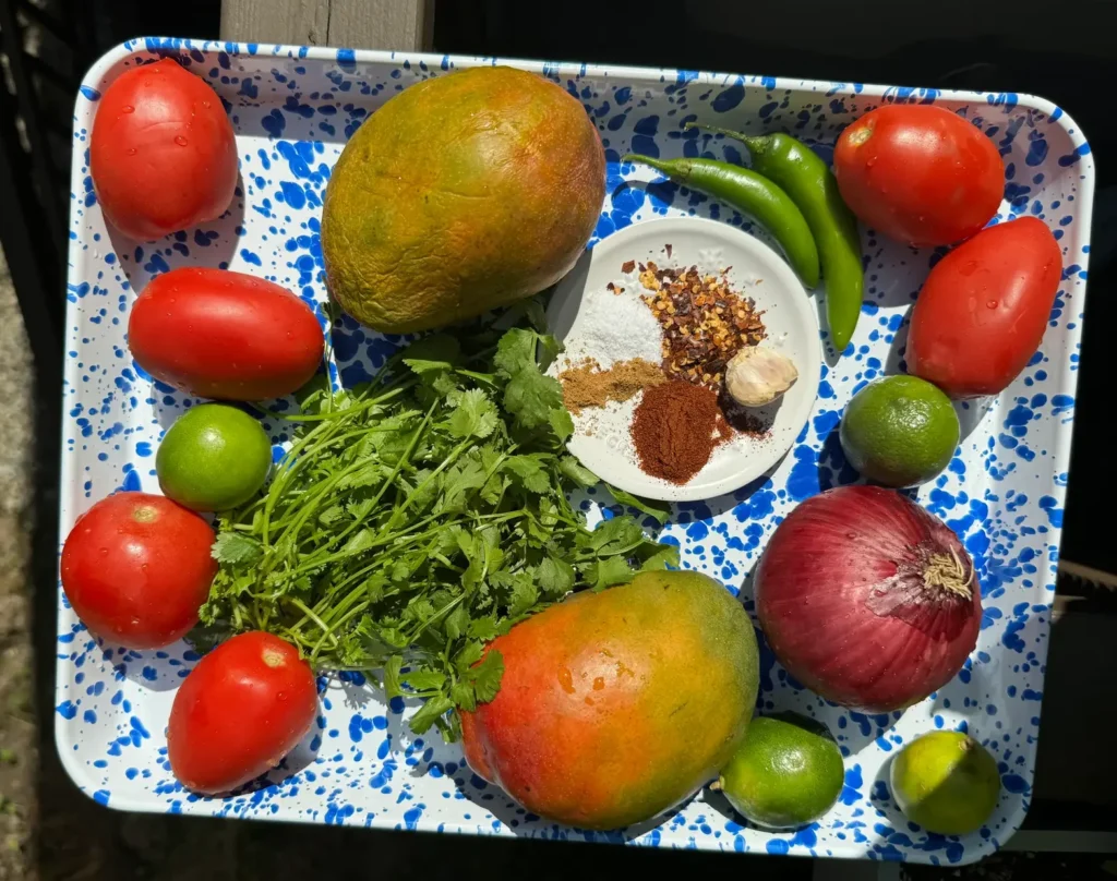 Overhead image of Fresh Mango Salsa ingredients on a blue and white speckled tray: Tomatoes, Mangos, cilantro, spices, limes, peppers.