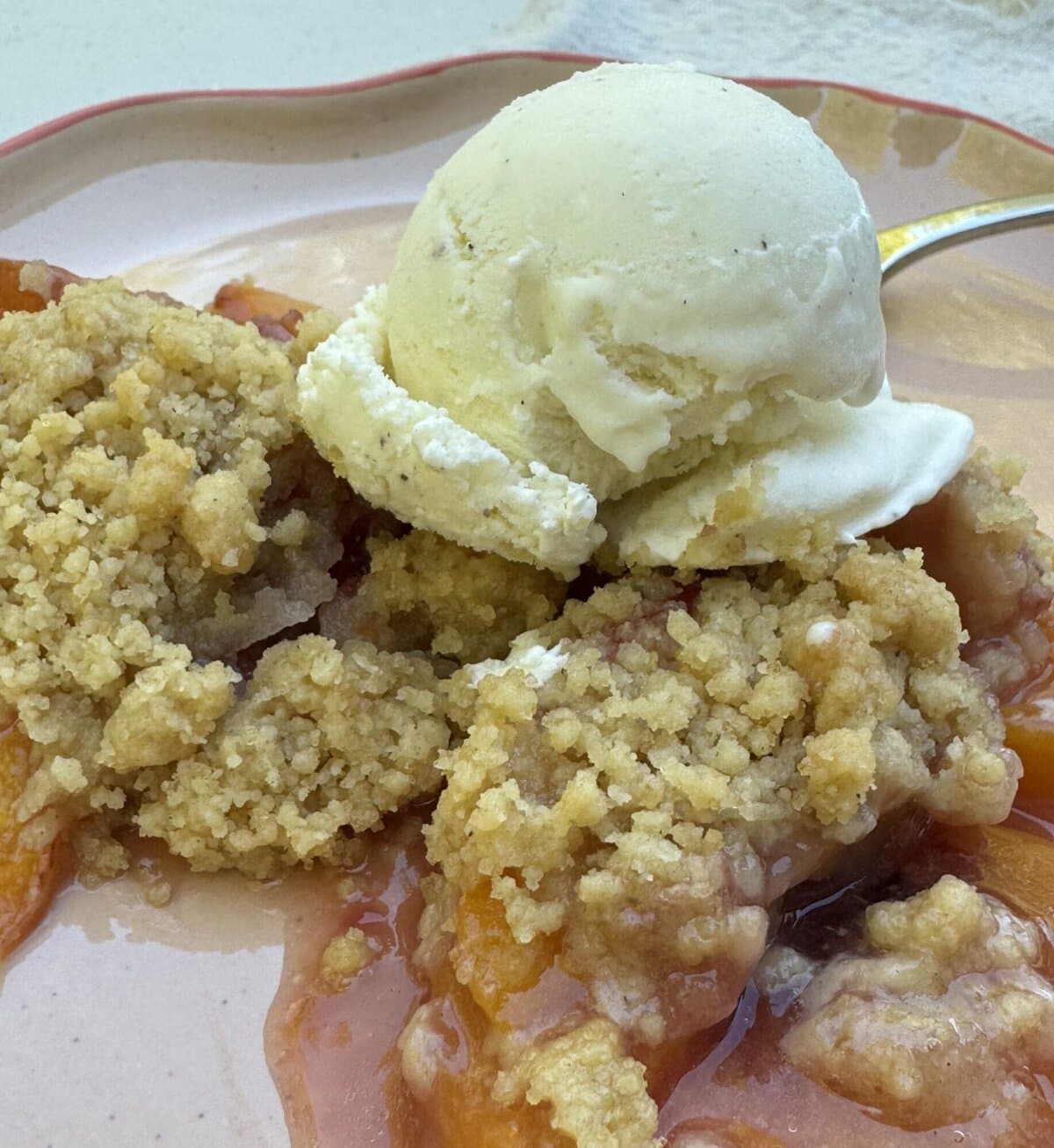 Nectarine Crumble with vanilla bean ice cream.