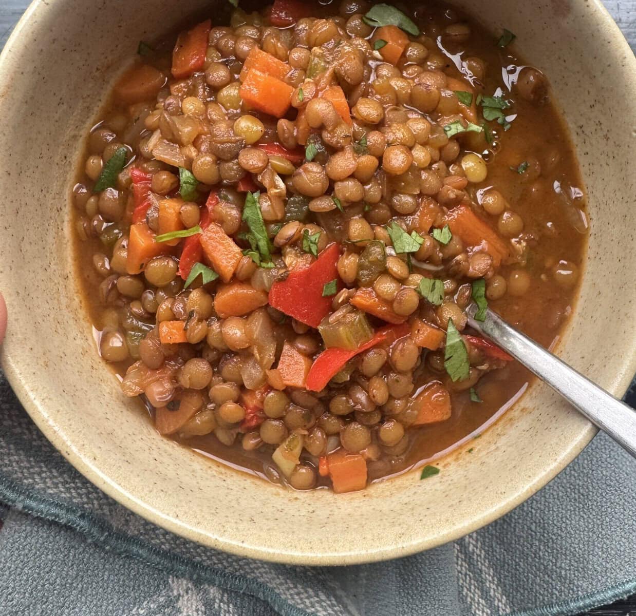 Finished product: Lentil Red Pepper Soup.