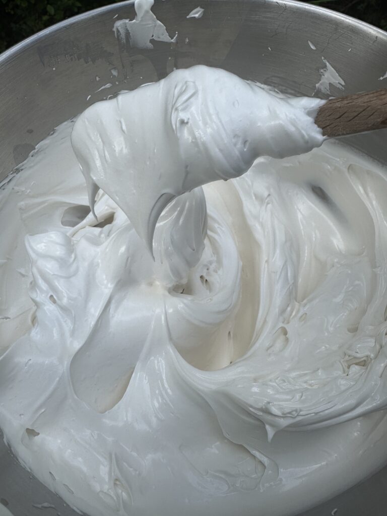 Meringue, ready to create mini Pavlova Nests.