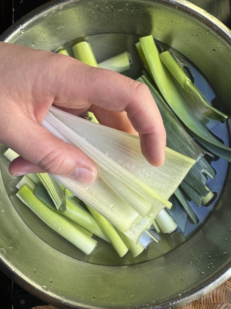 Hand holding a freshly rinsed leek
