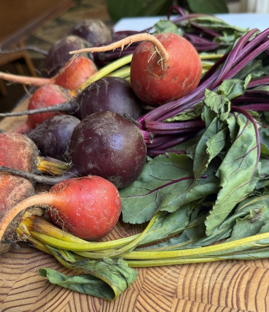 Bundles of red and golden beets on a butcher block